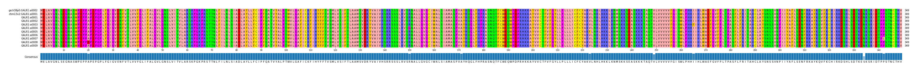 Multiple Alignments (by translate haplotype frequency)