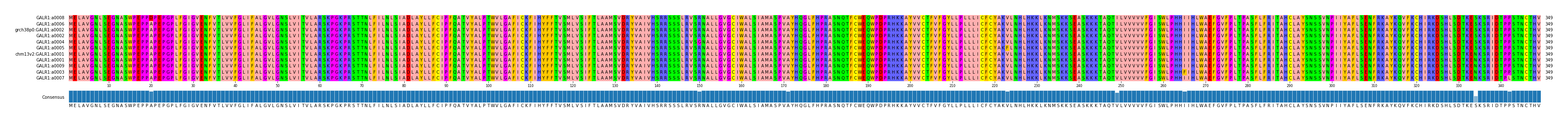 Multiple Alignments (by translate haplotype similarity)