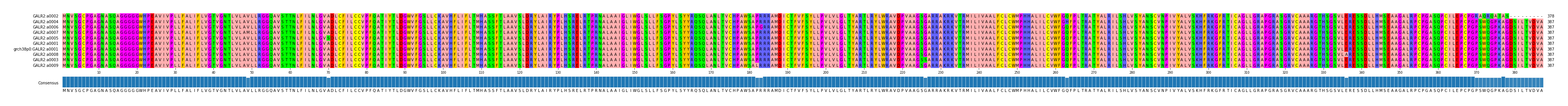 Multiple Alignments (by translate haplotype similarity)