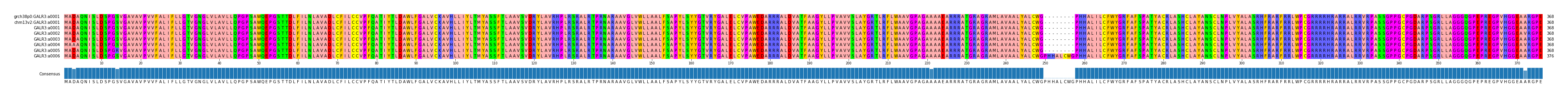 Multiple Alignments (by translate haplotype frequency)