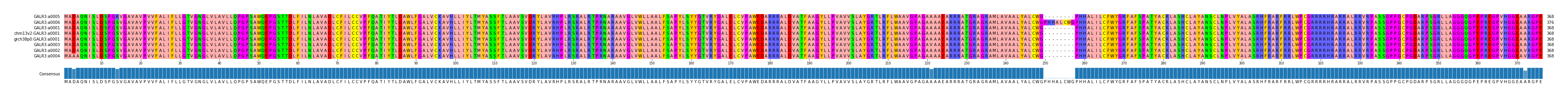 Multiple Alignments (by translate haplotype similarity)