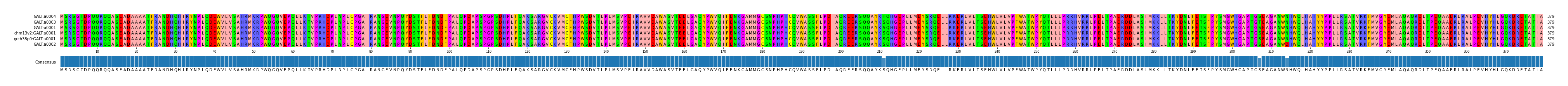 Multiple Alignments (by translate haplotype similarity)