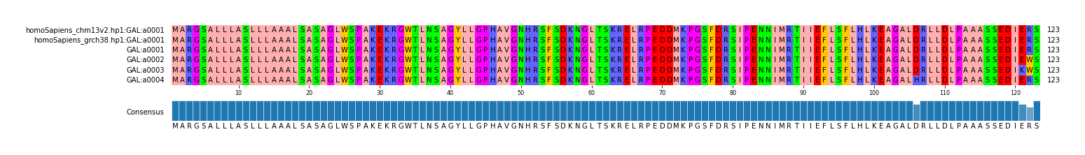 Multiple Alignments (by translate haplotype frequency)