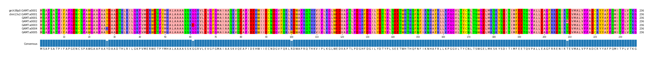 Multiple Alignments (by translate haplotype frequency)