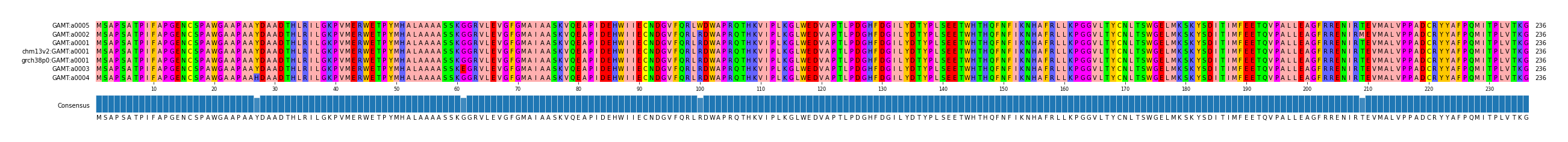 Multiple Alignments (by translate haplotype similarity)