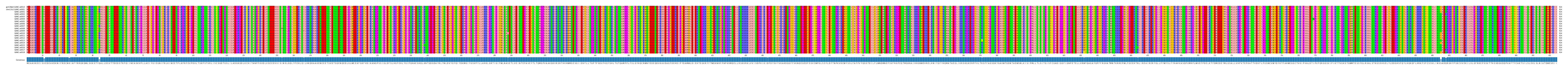 Multiple Alignments (by translate haplotype frequency)