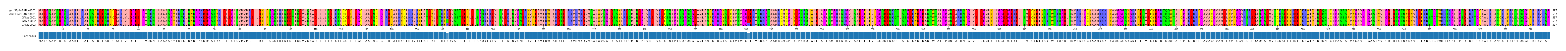 Multiple Alignments (by translate haplotype frequency)