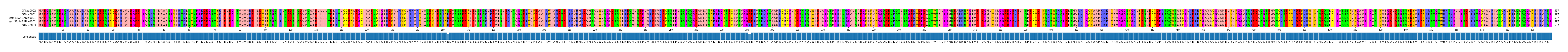 Multiple Alignments (by translate haplotype similarity)