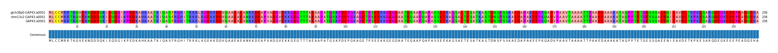 Multiple Alignments (by translate haplotype similarity)