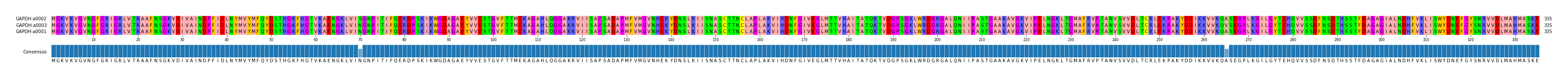 Multiple Alignments (by translate haplotype similarity)