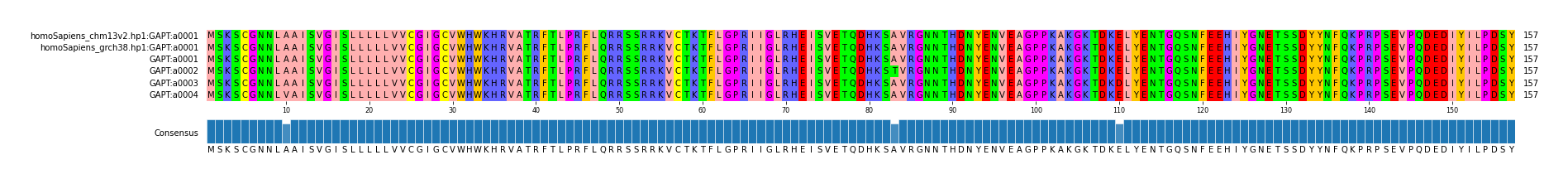 Multiple Alignments (by translate haplotype frequency)