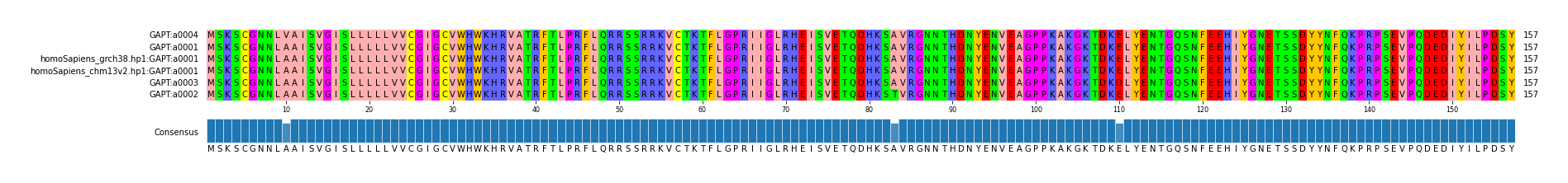 Multiple Alignments (by translate haplotype similarity)