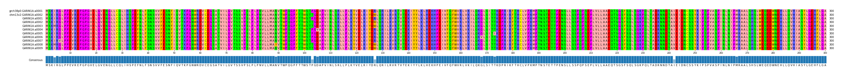 Multiple Alignments (by translate haplotype frequency)