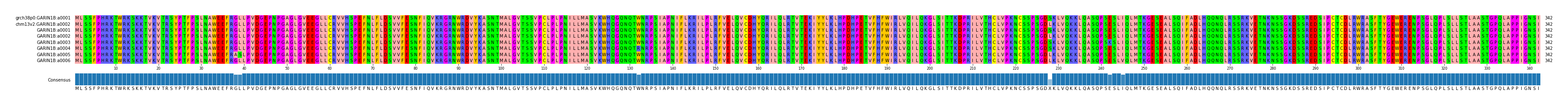 Multiple Alignments (by translate haplotype frequency)