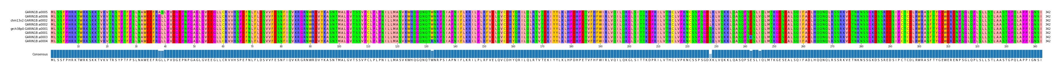 Multiple Alignments (by translate haplotype similarity)
