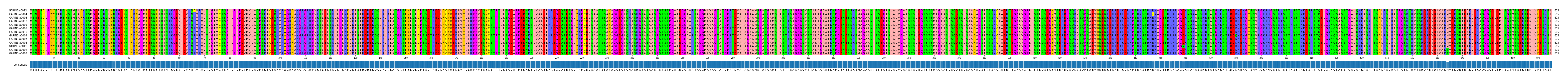 Multiple Alignments (by translate haplotype similarity)