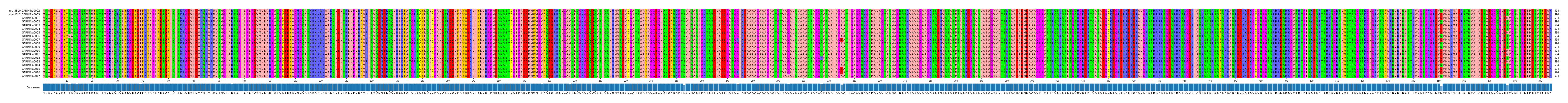 Multiple Alignments (by translate haplotype frequency)