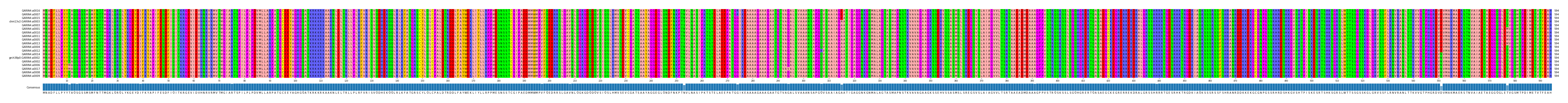 Multiple Alignments (by translate haplotype similarity)