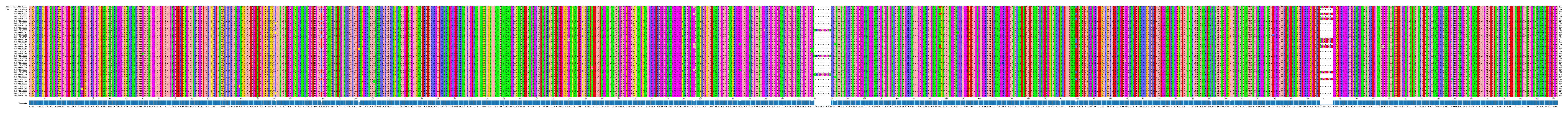 Multiple Alignments (by translate haplotype frequency)