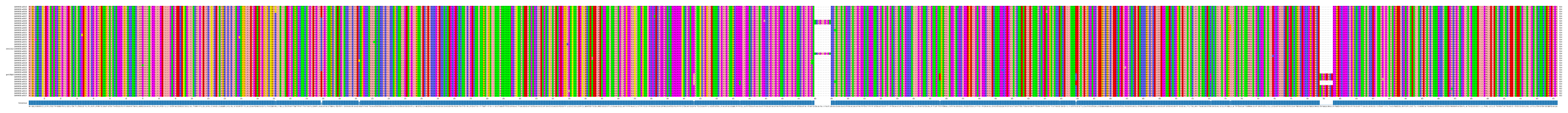 Multiple Alignments (by translate haplotype similarity)