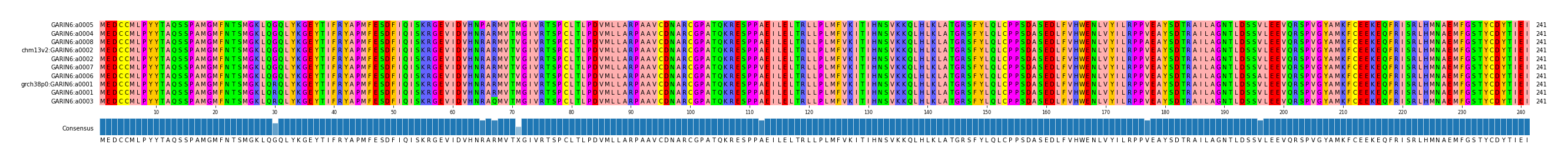 Multiple Alignments (by translate haplotype similarity)