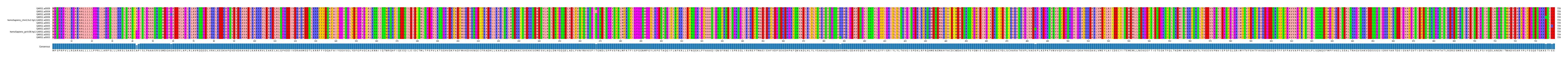 Multiple Alignments (by translate haplotype similarity)