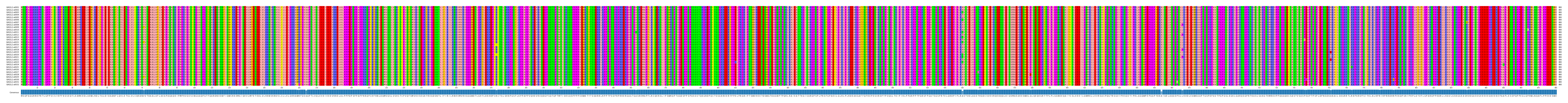 Multiple Alignments (by translate haplotype frequency)