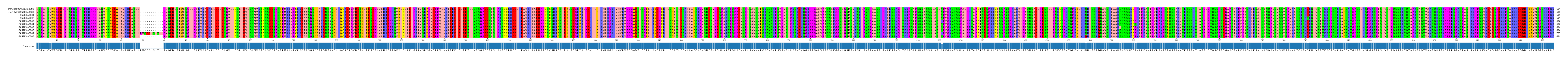 Multiple Alignments (by translate haplotype frequency)