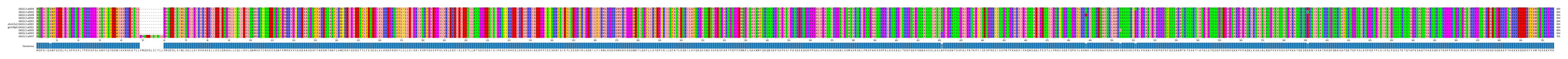 Multiple Alignments (by translate haplotype similarity)