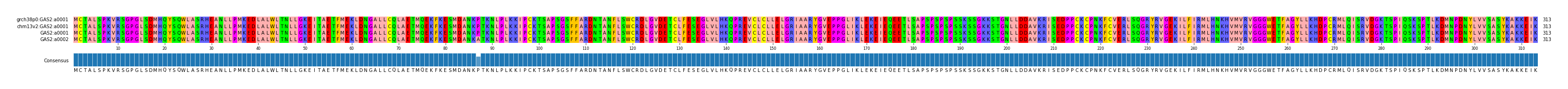 Multiple Alignments (by translate haplotype similarity)