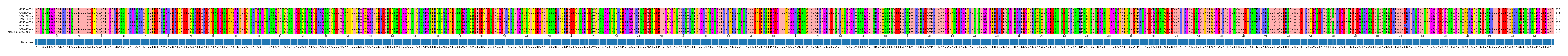 Multiple Alignments (by translate haplotype similarity)