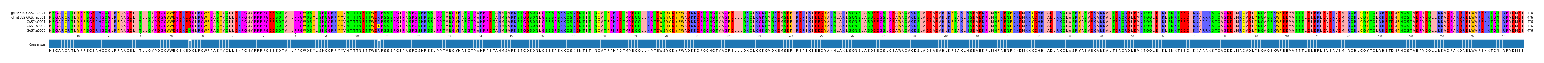 Multiple Alignments (by translate haplotype frequency)