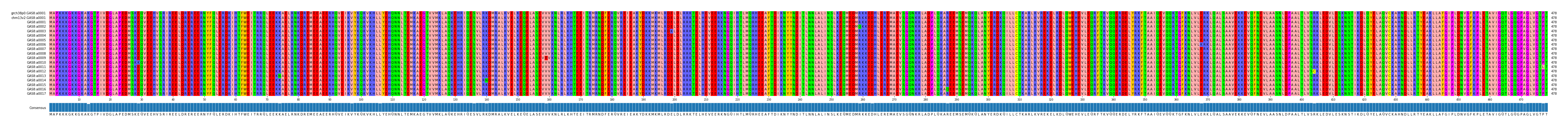 Multiple Alignments (by translate haplotype frequency)