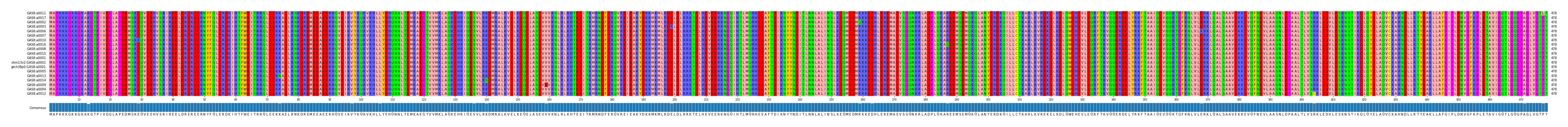 Multiple Alignments (by translate haplotype similarity)