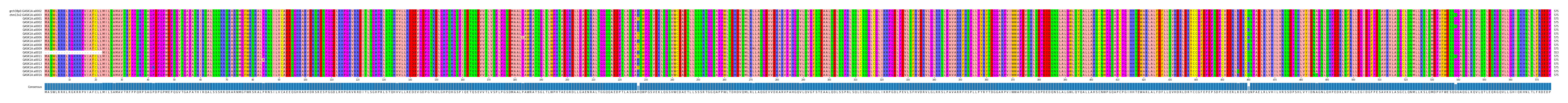 Multiple Alignments (by translate haplotype frequency)