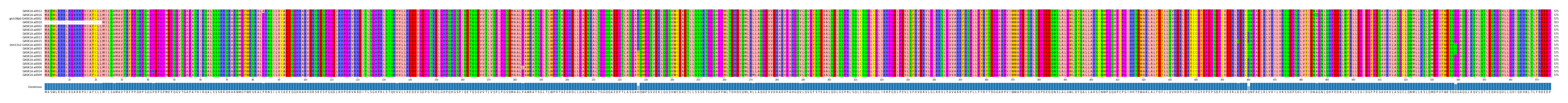 Multiple Alignments (by translate haplotype similarity)