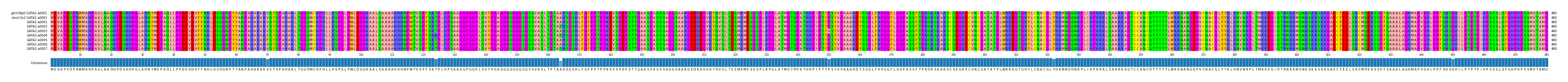 Multiple Alignments (by translate haplotype frequency)
