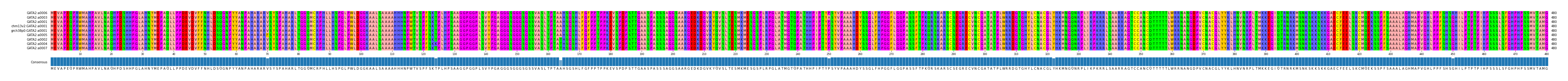 Multiple Alignments (by translate haplotype similarity)