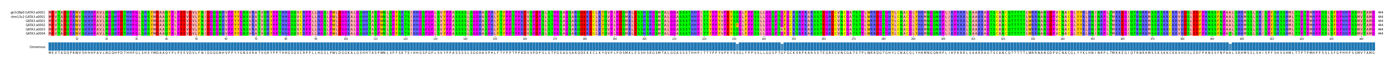 Multiple Alignments (by translate haplotype frequency)