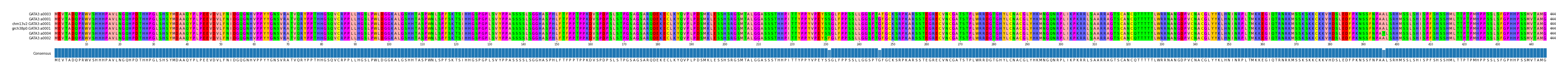 Multiple Alignments (by translate haplotype similarity)