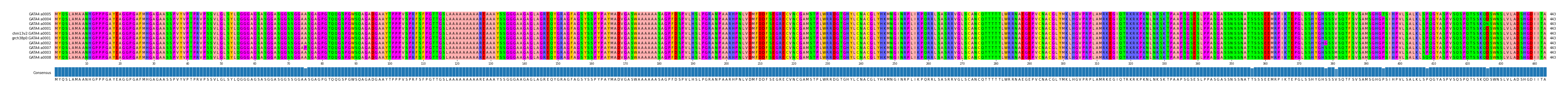 Multiple Alignments (by translate haplotype similarity)
