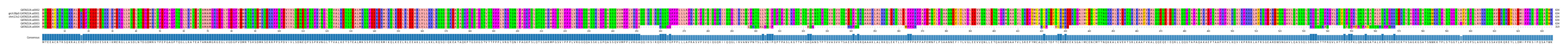 Multiple Alignments (by translate haplotype similarity)