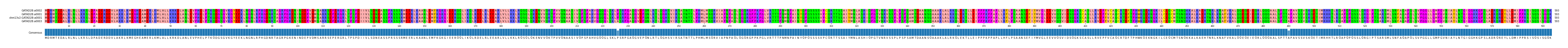 Multiple Alignments (by translate haplotype similarity)