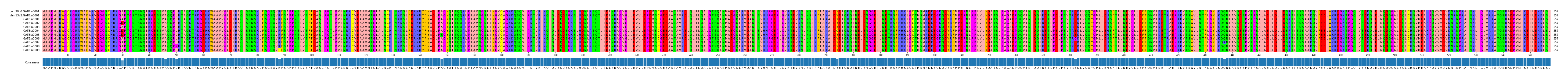 Multiple Alignments (by translate haplotype frequency)