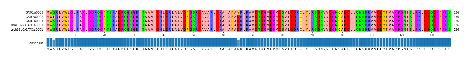 Multiple Alignments (by translate haplotype similarity)