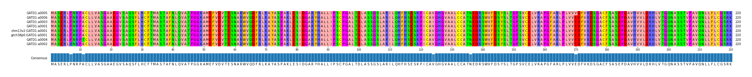 Multiple Alignments (by translate haplotype similarity)