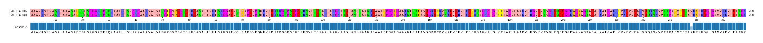Multiple Alignments (by translate haplotype similarity)