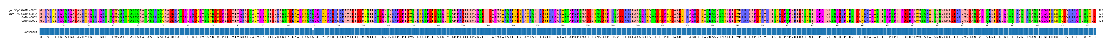 Multiple Alignments (by translate haplotype similarity)