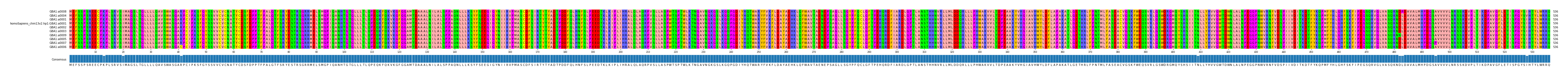 Multiple Alignments (by translate haplotype similarity)