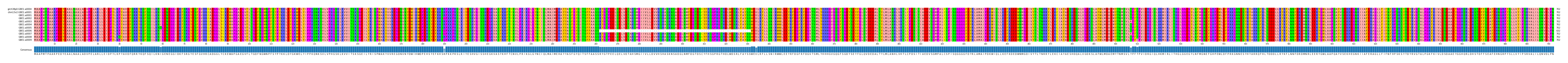 Multiple Alignments (by translate haplotype frequency)